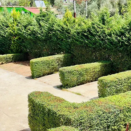 Demiraj Sarande Apartament *